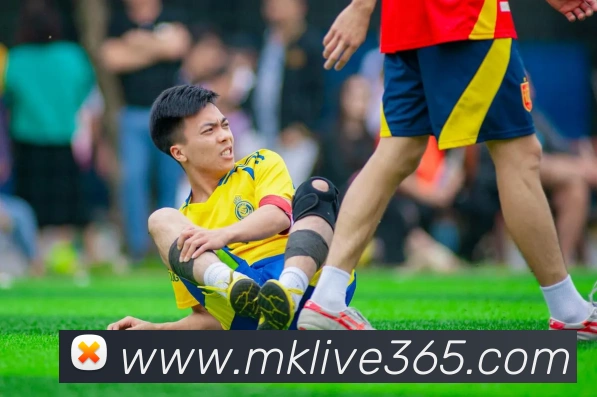 MK体育全站App
